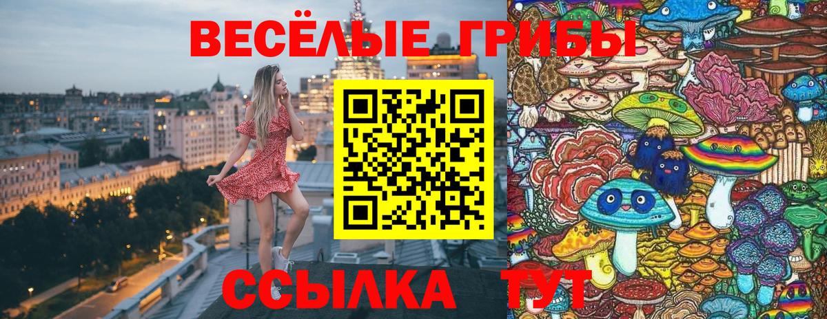 Вятские Поляны  Галлюциногенные грибы ЛСД  Вход с VPN  Галлюциногенные грибы MAGIC MUSHROOMS 